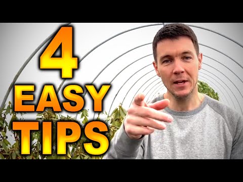 Transplanting a Tree | HOW TO Transplant any Plant with 4 Easy Tips