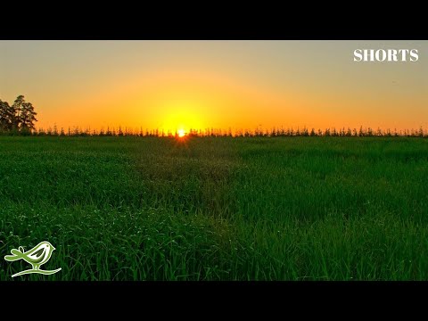 Welcome to Soothing Relaxation π Home of Relaxing Music & Beautiful Nature