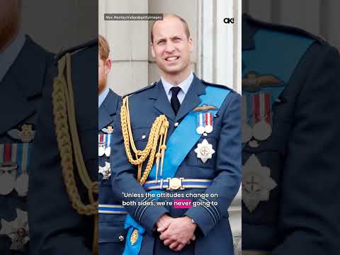 Prince Harry Wanted to Speak to Estranged Brother Prince William Through a Mediator — But Conversati