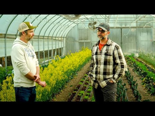 A No-Till Farm Carved out of a Clay Hillside | Mountain Roots Farm