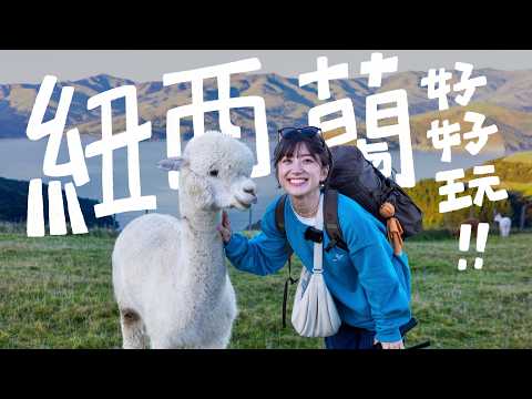 一群YouTuber在紐西蘭追海豚、餵草泥馬、15000英尺極限跳傘!|金魚腦Goldfish Brain feat. @insta360