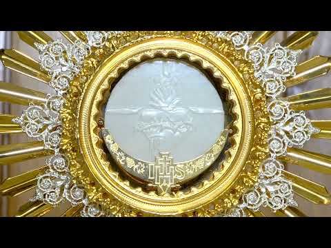 Adoración Eucarística en silencio. Una hora con el Señor expuesto 🙏 ¡Jesús te amo con todo mi ser!