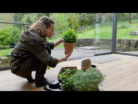 I Spent A Calm Day In The Countryside