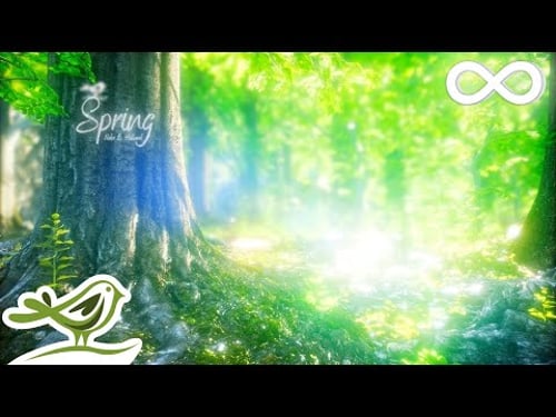 Spring β’ Beautiful Relaxing Music with a Flute, Cello, Guitar & Piano