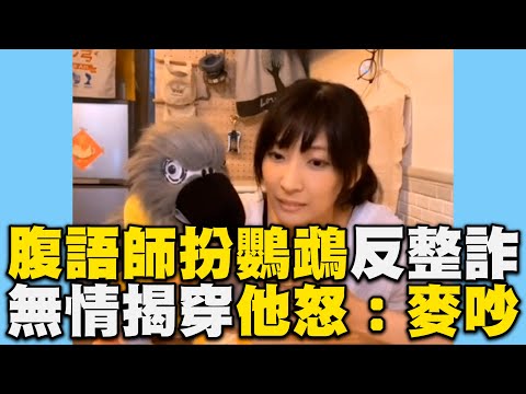 腹語師扮鸚鵡反整詐騙!無情揭穿他怒:麥吵@cosmosviral