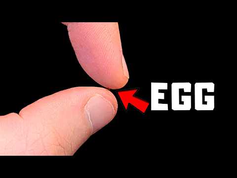 I Hatched The Smallest Egg, THIS Came Out...