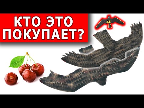 PLEASE THIS IS THE BEST BIRD REPELLER and 100% way to protect BERRIES from the invasion of starlings