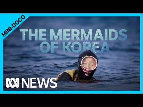 Follow Korea’s oldest free divers on their underwater treasure hunt | ABC News