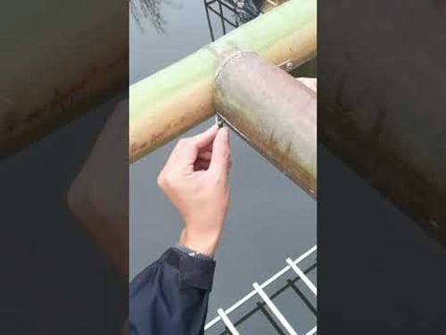 Wood fixes the structure! Very strong【Water Dweller】