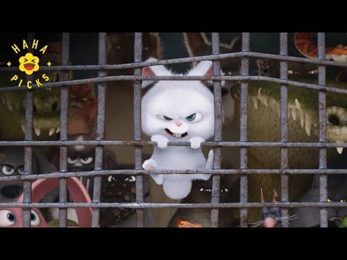 Max and Duke Escape | The Secret Life of Pets