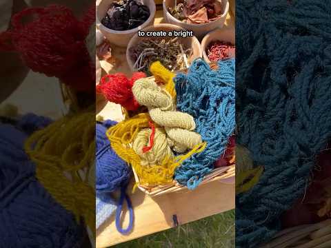 why did Vikings want to wear pink? 💅 @chalkehistoryfestival