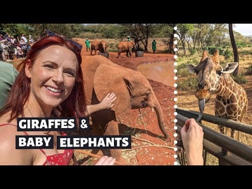 Elephant Orphanage and Giraffe Center // THE BEST THING to do in NAIROBI