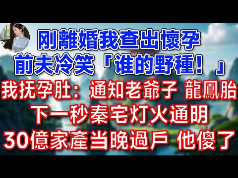 刚離婚我查出懷孕 前夫冷笑「谁的野種!」我抚孕肚:通知老爺子 龍鳳胎 下一秒秦宅灯火通明30億家產当晚過戶 他傻了