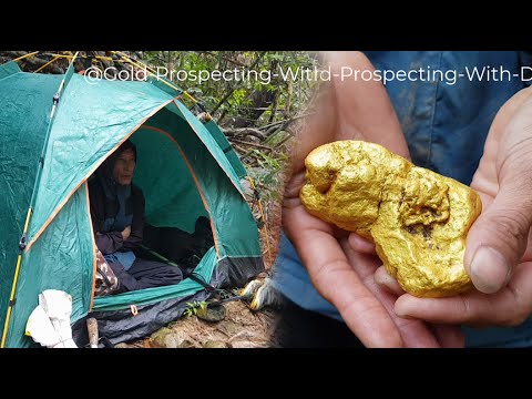 6 KG Gold Nugget Found! Camping in the Rain Pays Off Big Time (Dowsing Rods Hit the Motherlode)