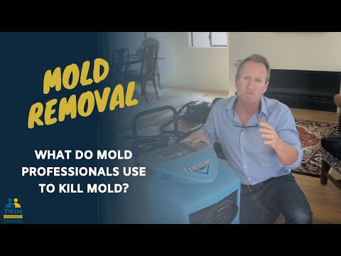 What Do Mold Professionals Use To Kill Mold?