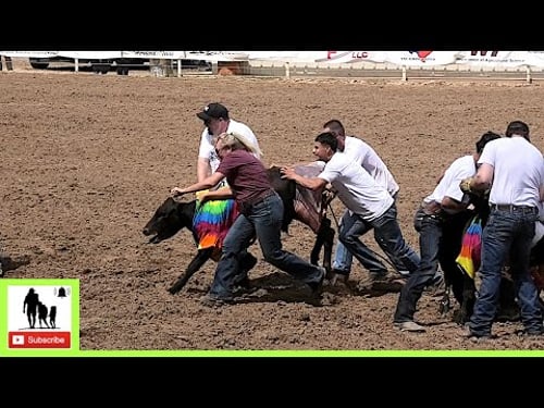 Cowabunga Race 🐂 2024 Spicer Gripp Memorial Roping