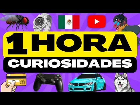1 HORA de DATOS CURIOSOS y COSAS QUE NO SABÍAS ⏰😲