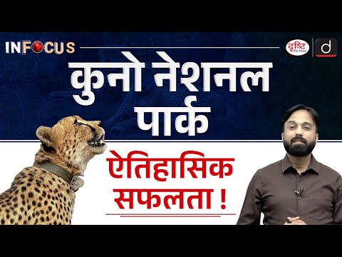 Historic Milestone for Project Cheetah | Mukhi Gives Birth to Five Cubs at Kuno | Drishti IAS