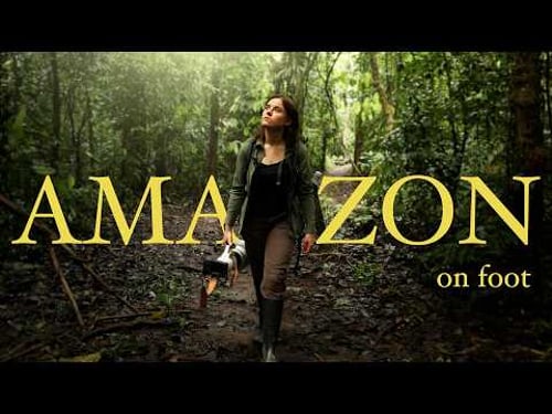 Deep Inside the Amazon Rainforest with my Camera