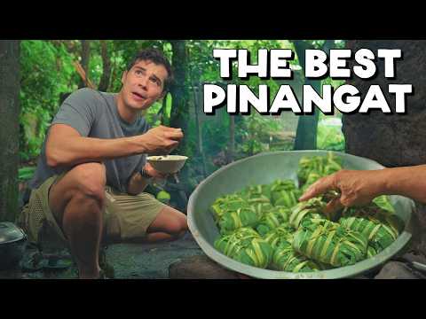 Road Trip in Albay Philippines (with Erwan Heussaff) Forager Episode 1