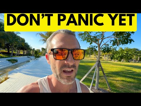 What Should You Do if The Stock Market Crashes?