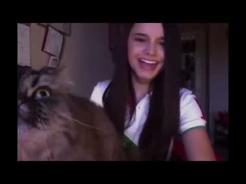 BEST OF THE INTERNET - PART 7B