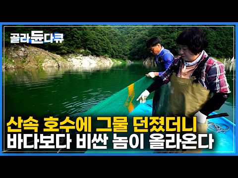30년 전 우연히 방문한 산 속에서 엄청난 물고기를 본 부부|이제는 아들까지 합류해서 온 식구가 산골 어부가 된 가족|한국기행|#골라듄다큐