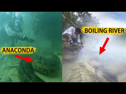 Strange Facts About Amazon Rainforest