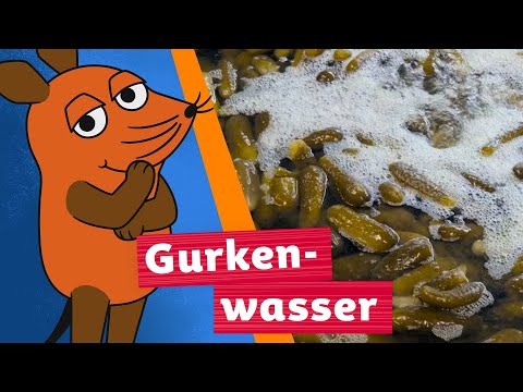 Wie wird aus Gurkenwasser Streusalz? | Die Maus | WDR