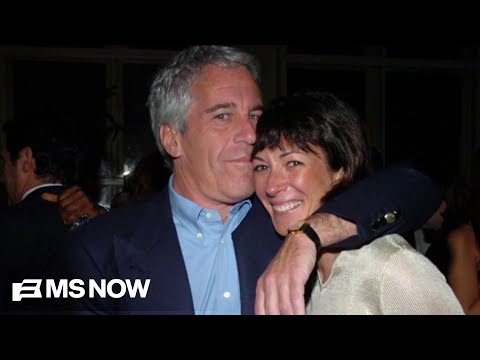 Anand Giridharadas: Epstein turned to 'a power elite practiced at disregarding pain'