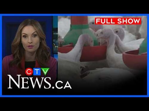 Confirmed case of avian flu | CTV News Windsor at Six for Feb. 24, 2026
