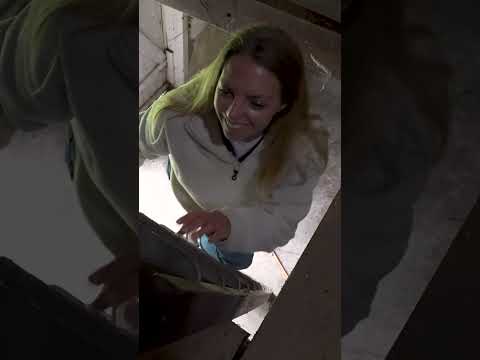 Discoveries on our Chateau Property