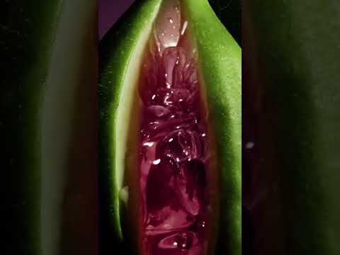 FIGUE EROTIQUE | PRIVATE BLEND | TOM FORD