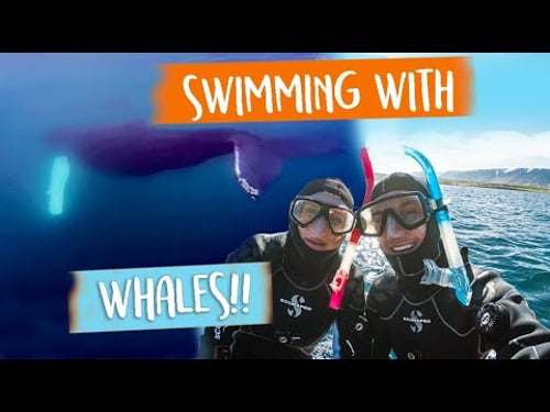 This is THE BEST thing to do in Iceland - hands down!! 😱😍