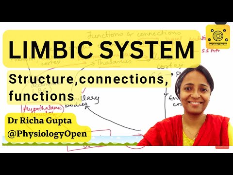 Limbic system anatomy and physiology | CNS physiology mbbs 1st year