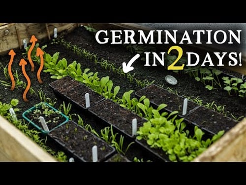Start Growing Food in January (No Polytunnel or Electric Needed!)