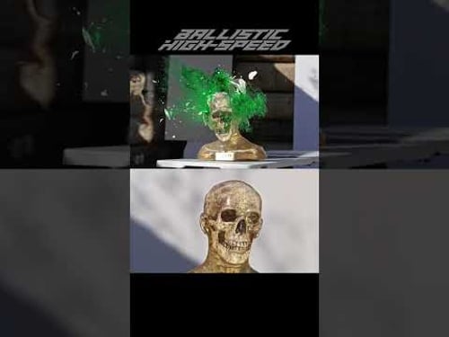 Black Powder Rifle vs Zombie Head!