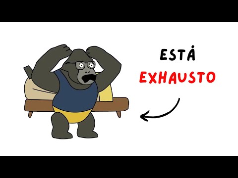 Cómo mono descubrió que tenía Ansiedad y que hizo para solucionarlo