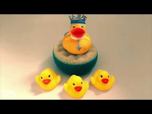 The Bit with the Ducks (James Veitch is a terrible roommate)