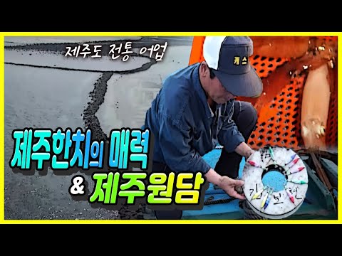 제주도 한치잡이/해질녘 한치주낙/노젓는 배로 잡던 한치/수평선의 고기잡이 불빛/제주 한림읍 금능리/한치 부침개/한치 된장냉국/제주 전통어업/제주 원담/원담 멸치잡이(어부의 만찬)