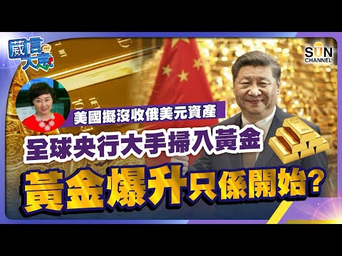 美國擬凍結俄美元資產,全球央行大手掃入黃金,黃金爆升只係開始?︱葳言大意︱Sun Channel︱20240423