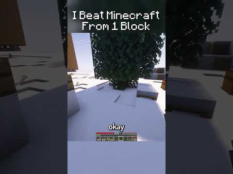 Part 20. I Beat Minecraft From 1 Block