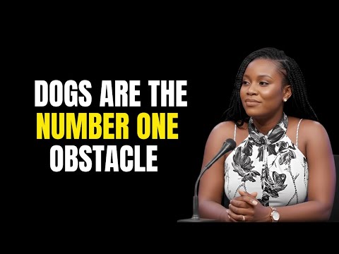 Ex Witch Exposes Why Your Dog Barks at Empty Corners Every Night