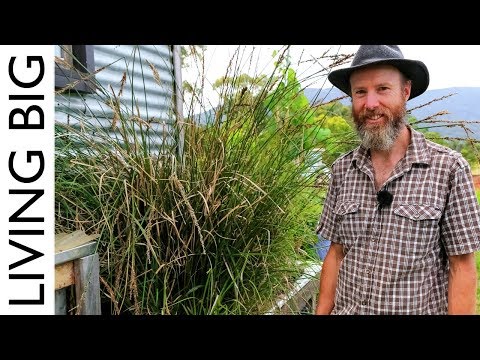 Simple Permaculture-Based Grey-Water Treatment System