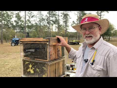 How well does Oxalic Acid Vapor flow through a hive