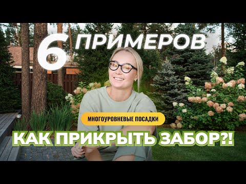 Как прикрыть забор?! Изгороди и многоуровневые посадки.