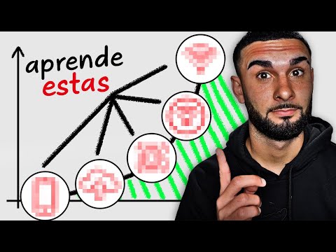 These are the 4 Programming Careers with the most promising future in 2026