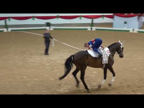 WM2025 Jun Damian Kür2