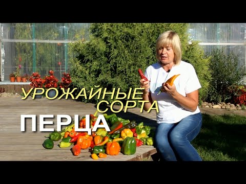 Обзор УРОЖАЙНЫХ сортов сладкого ПЕРЦА! Советы от ЗЕЛЕНОГО ОГОРОДА!