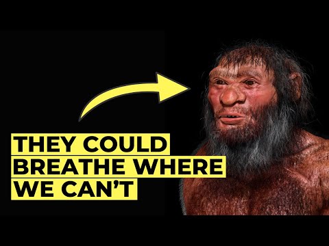 Ancient DNA Reveals How Denisovans Conquered High Altitudes